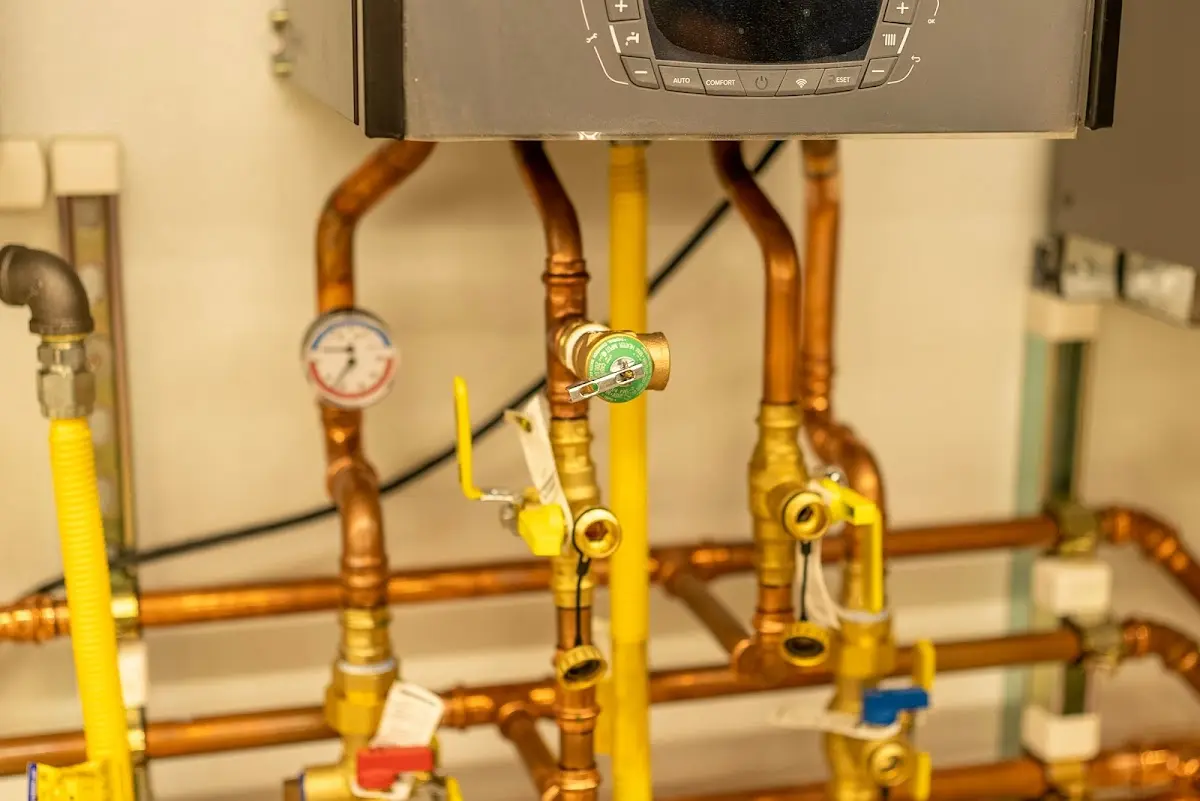 Licensed technician providing Emergency Plumbing for a homeowner in Goulds